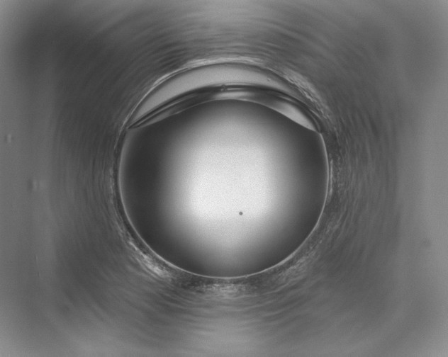 X0000073401177200608111251