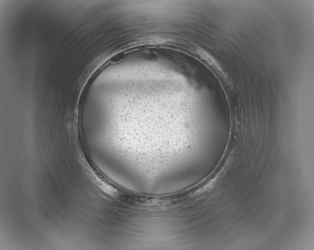 X0000073401178200608111251