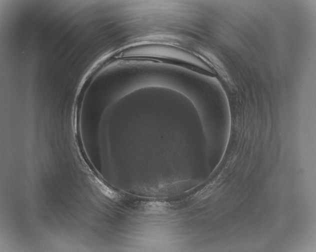 X0000073401180200608111251