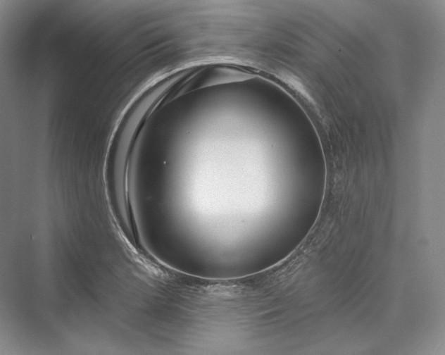 X0000073401181200608111251