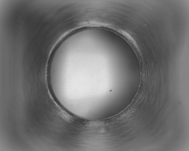 X0000073401183200608111251