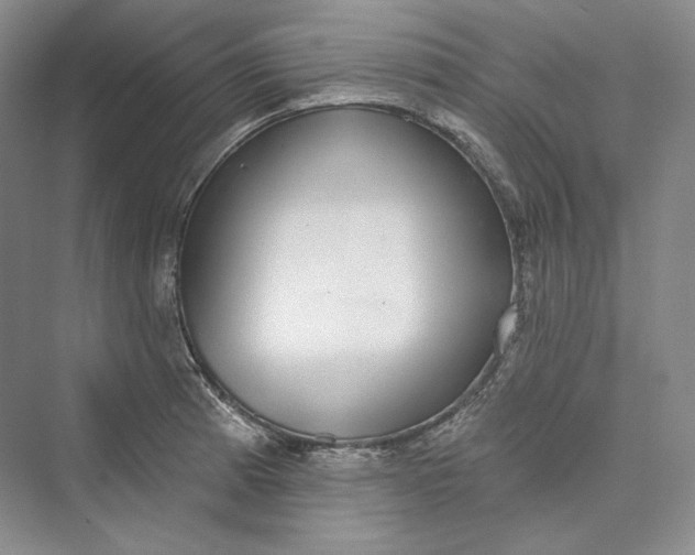 X0000073401185200608111251