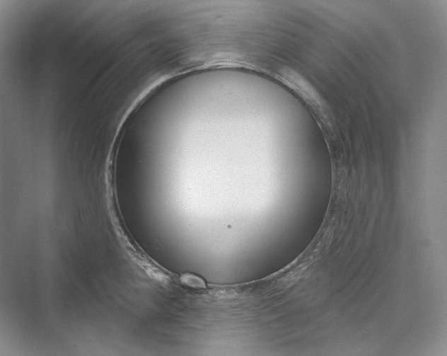 X0000073401190200608111251
