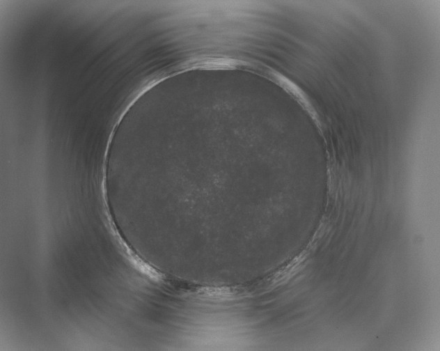 X0000073401194200608111251