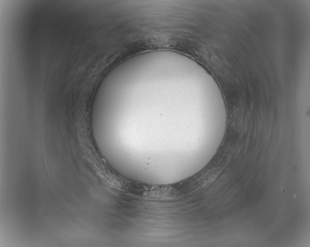 X0000073401201200608111250