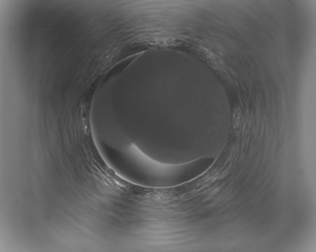 X0000073401202200608111250