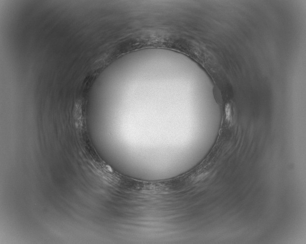 X0000073401203200608111250
