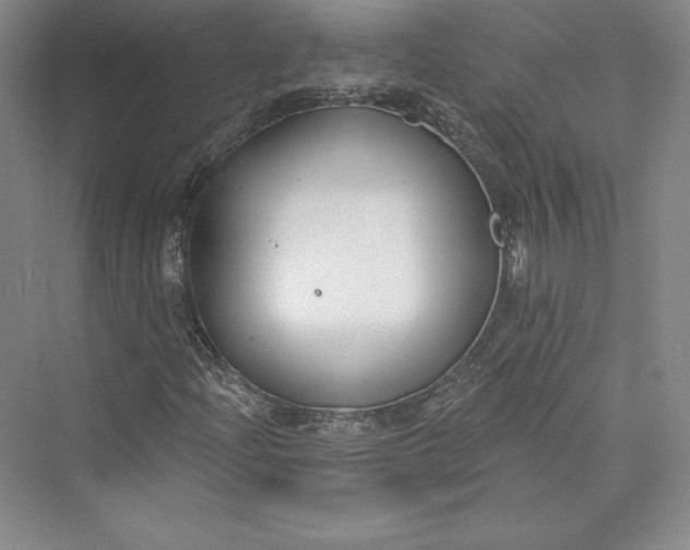 X0000073401204200608111250