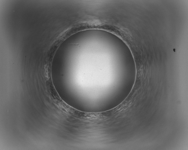X0000073401205200608111250