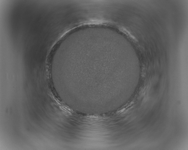 X0000073401208200608111250