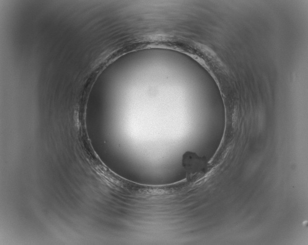 X0000073401209200608111250