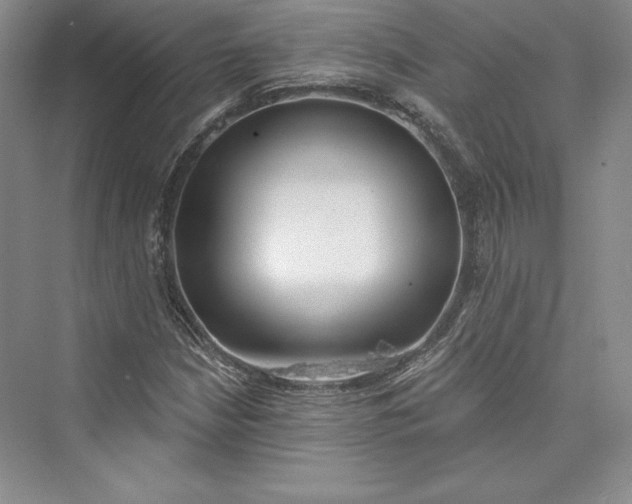 X0000073401210200608111250
