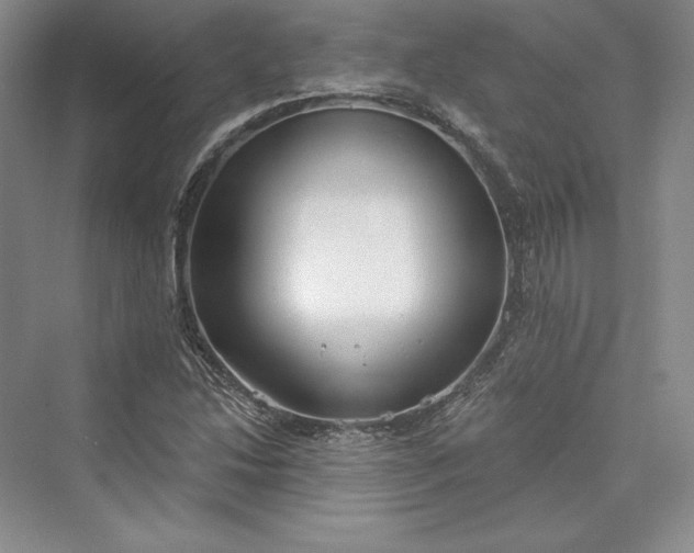 X0000073401214200608111250