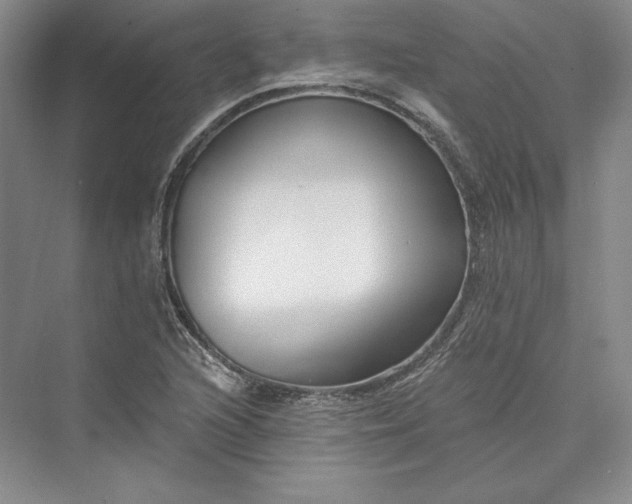 X0000073401216200608111250