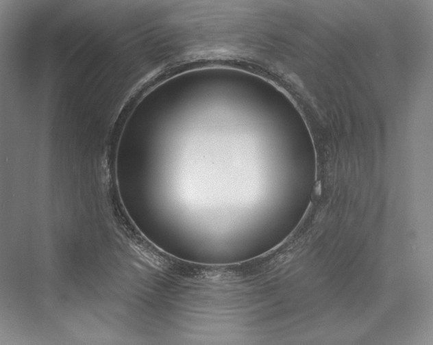 X0000073401218200608111250