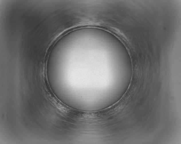 X0000073401220200608111250