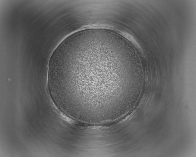X0000073401228200608111250