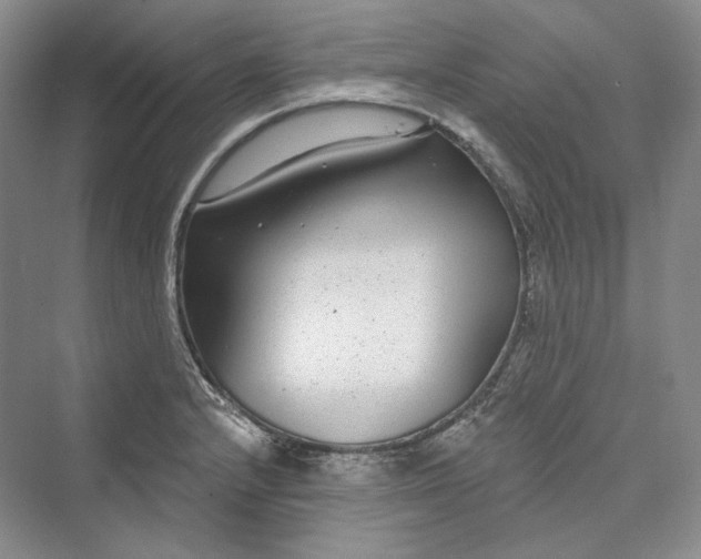 X0000073401232200608111250