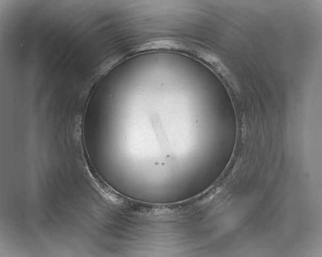 X0000073401233200608111250