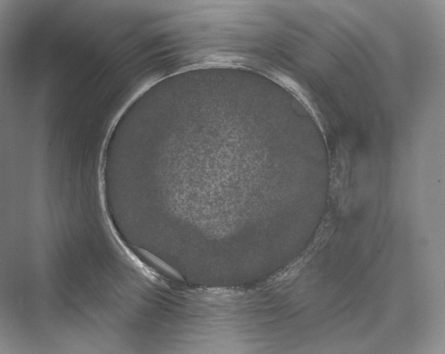 X0000073401235200608111250
