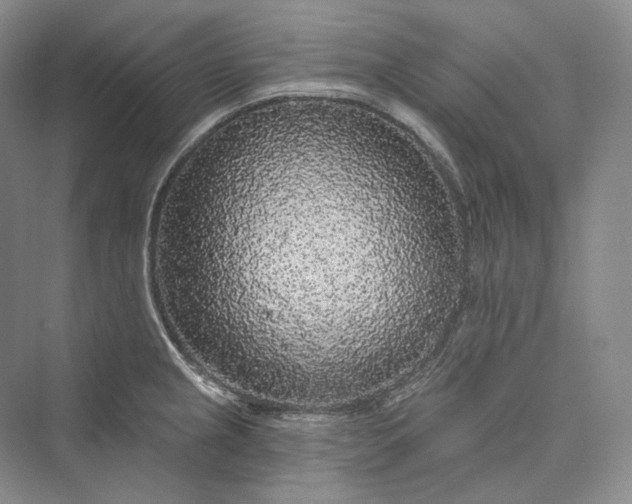 X0000073401237200608111250