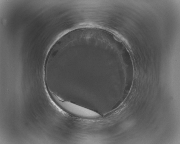 X0000073401239200608111251