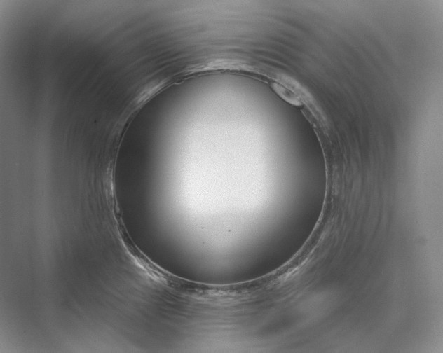 X0000073401241200608111251