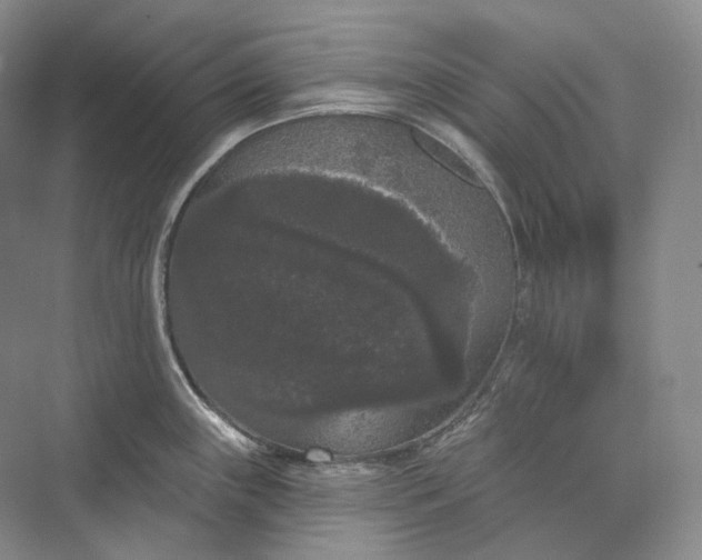 X0000073401243200608111251