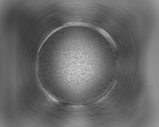 X0000073401244200608111251