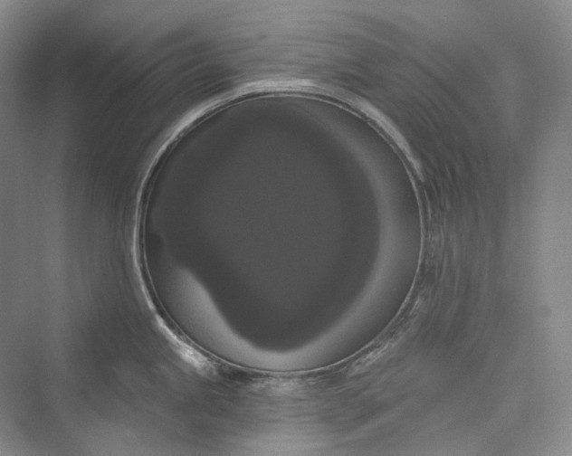 X0000073401245200608111251