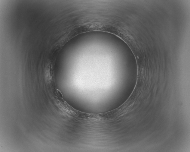 X0000073401250200608111250