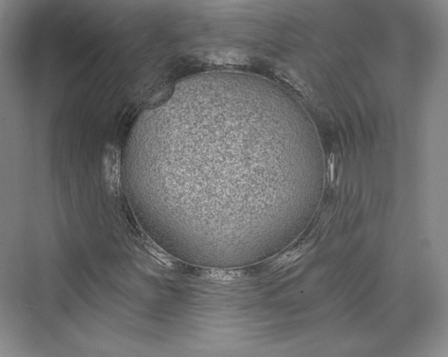 X0000073401251200608111250