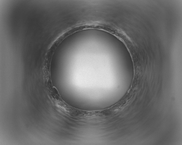 X0000073401256200608111250