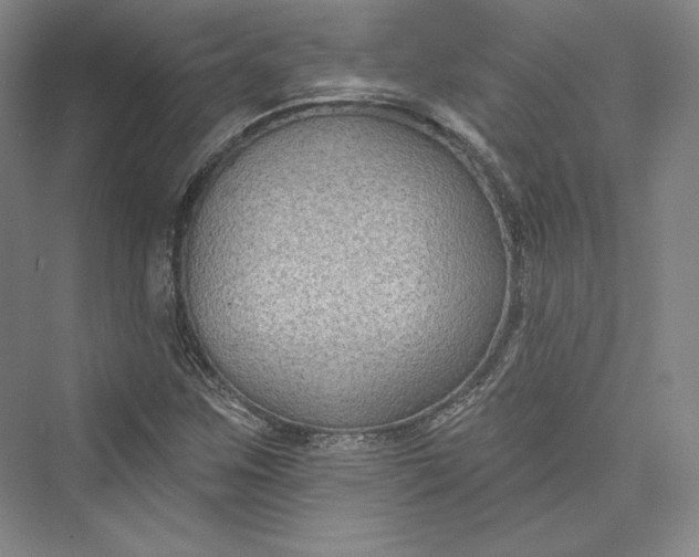 X0000073401259200608111250