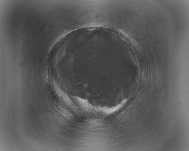 X0000073401262200608111250