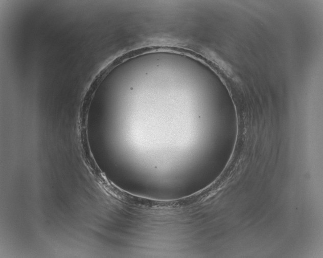 X0000073401264200608111250