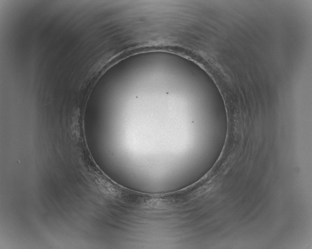 X0000073401265200608111250