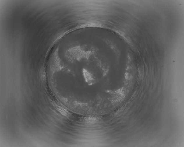 X0000073401266200608111250