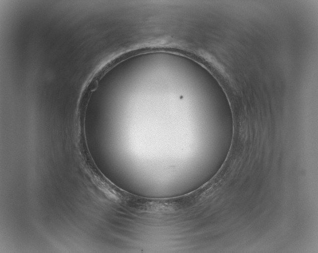 X0000073401270200608111249