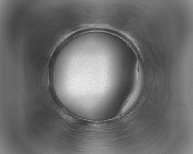 X0000073401271200608111249