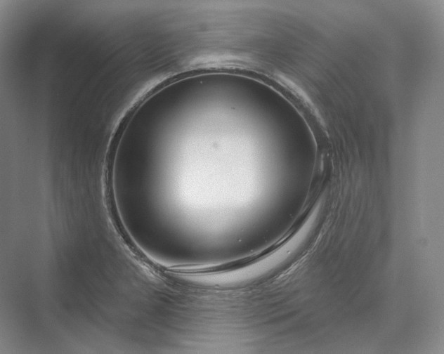 X0000073401277200608111249