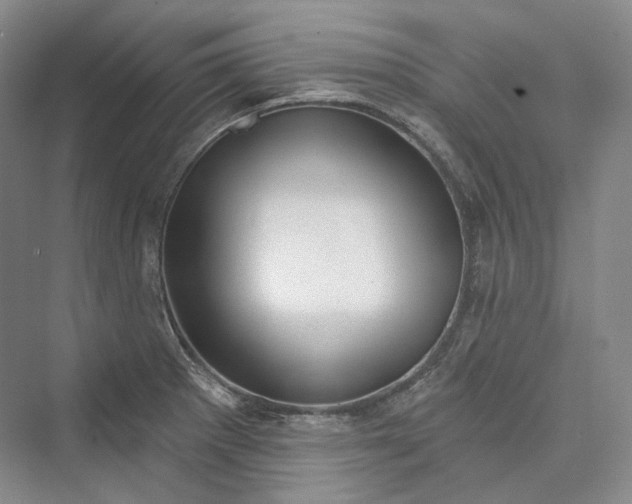 X0000073401281200608111249