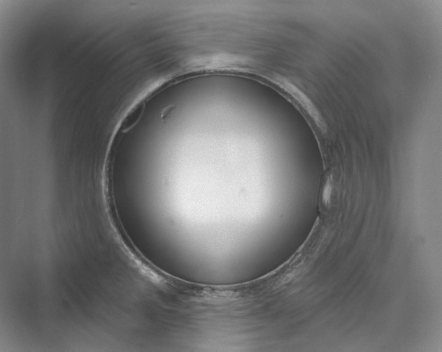 X0000073401285200608111249