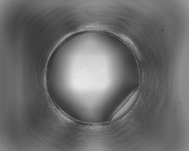 X0000073401288200608111249
