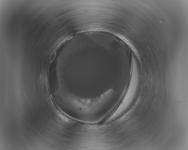 X0000073401289200608111249
