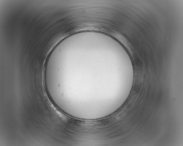 X0000073401290200608111249