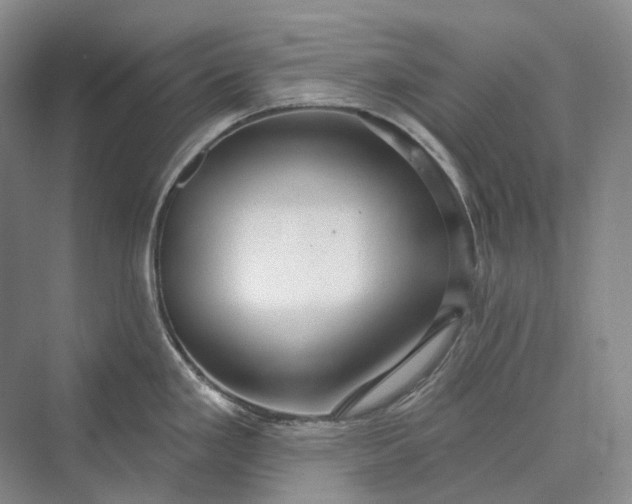 X0000073401293200608111249