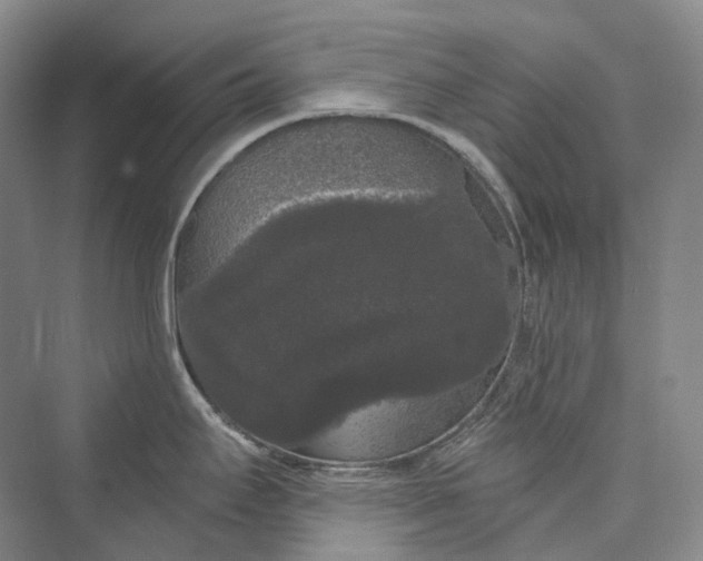 X0000073401295200608111249