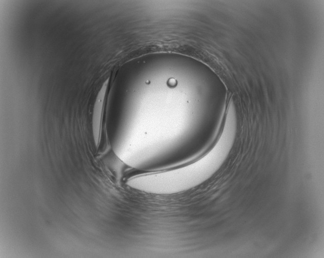 X0000073401298200608111248