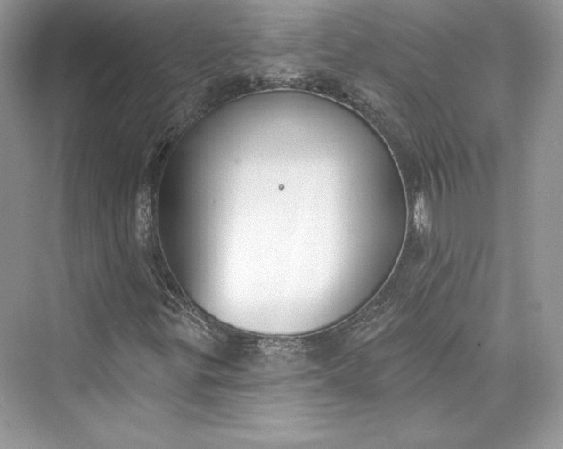 X0000073401299200608111248
